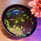 Best Beef Soup in Santa Cruz, CA